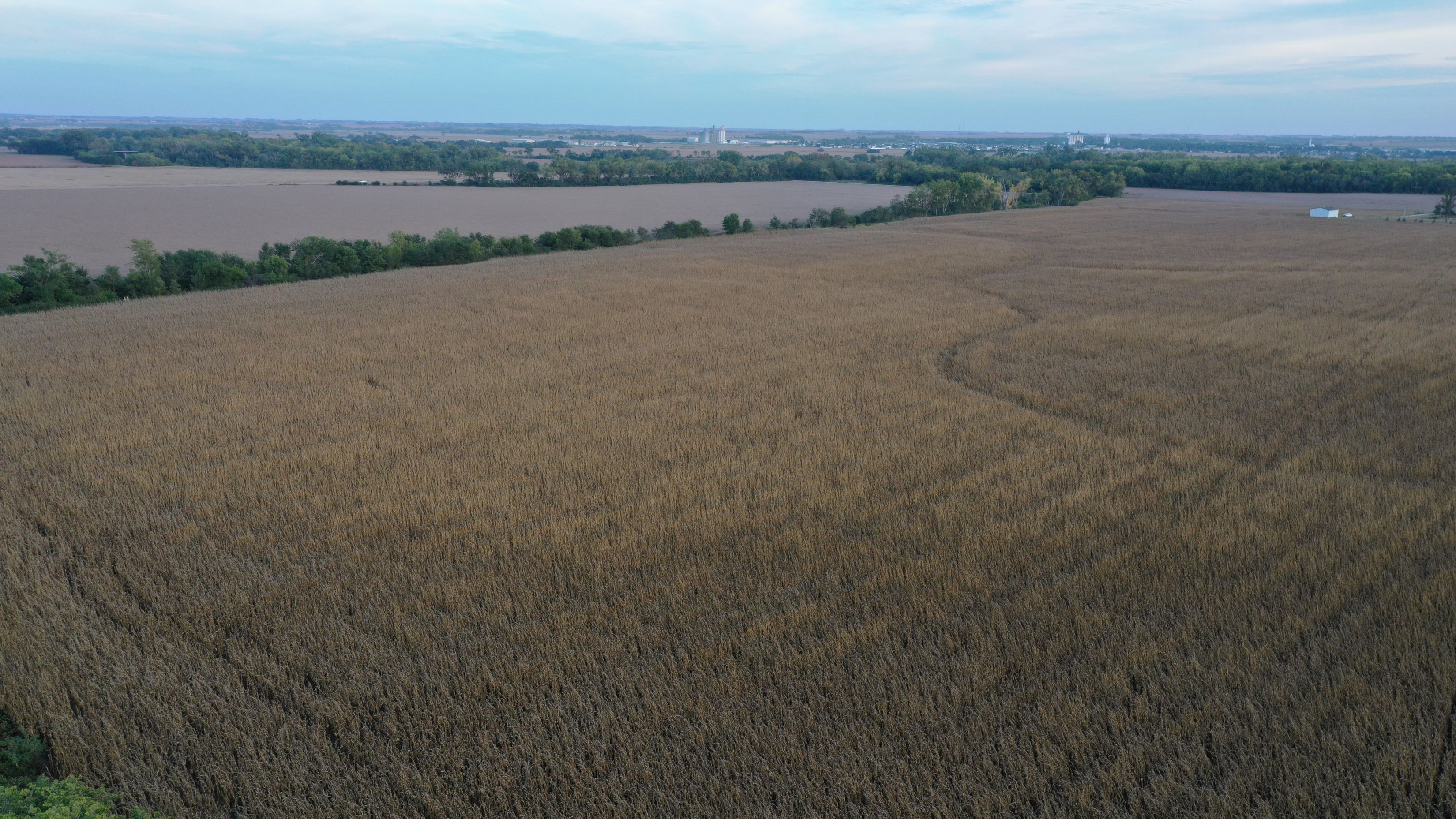 Listing Photo: Burg Farm Looking SE